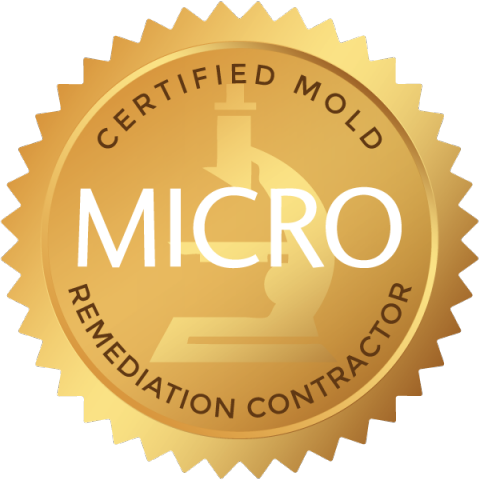 Certified Mold Remediation Contractor Course Online MICRO